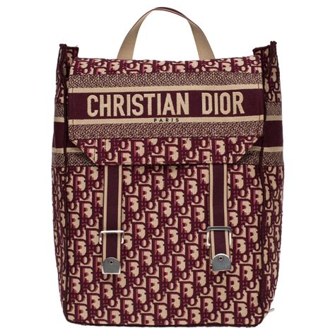 sac a dos christian dior|christian dior book tote price.